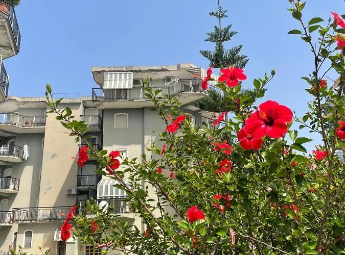 Savastano\'S Home
